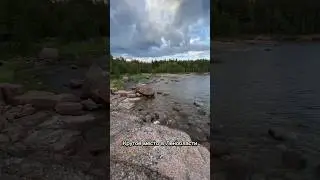 Чудесное место в Ленобласти