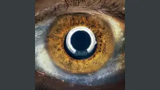 Calabi-Yau