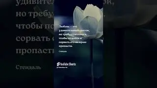 На краю - цитата Цитаты о любви 