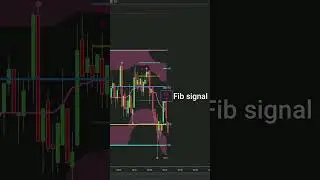 Zephyrus Force: our first system that uses Fibonacci to spot entry signals