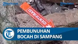 Kronologi Cewek 16 Tahun Bunuh Bocah 7 Tahun di Pulau Mandangin, Sampang, Bermula dari Diusir Tante