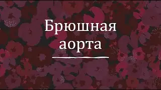 Брюшная часть аорты