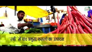Eagle Seeds | Global Food Processing | Informative | #Client