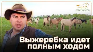 Готовимся к 9 Мая / Установили в нашем родном селе Улу-Теляк бюст Шаймуратову Минигали Мингазовичу