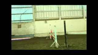Mitch freejumping