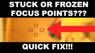 Nikon Stuck or Frozen Focus Points Quick Fix
