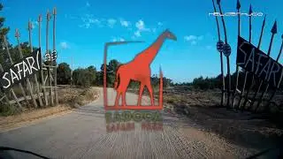 Um dia no Badoca Safari Park em Portugal