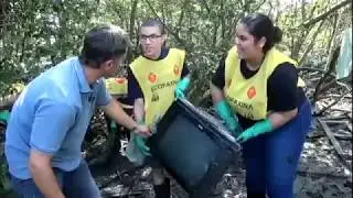 Manguezais brasileiros poluídos por plástico e esgoto | Jornal da Record