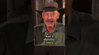 The Best Survival Rifle