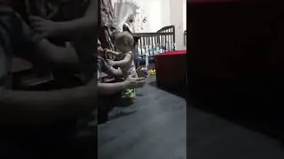 父亲的幸福时刻