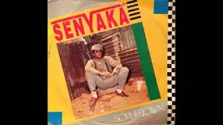 Senyaka ‎– Sophiatown