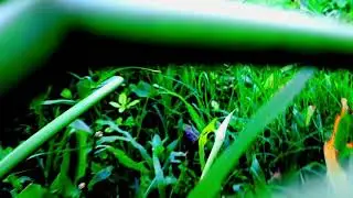 Camera man and editor Vishal Roy plz saport me and new new videos update to public enjoy karo