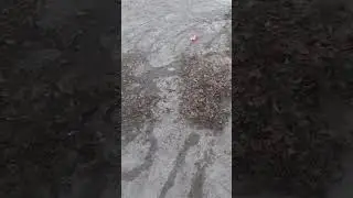 пришел пора переустанавливать шиндовс