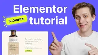Elementor Beginner Tutorial - Build a Fully Responsive Custom Website in WordPress Using Elementor