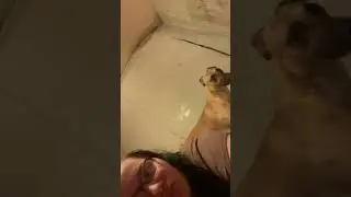 Me and my dog