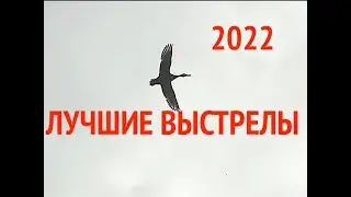 Лучшие выстрелы по птице сезона весна-осень 2022 года
