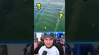 The Craziest Discoveries! 👽