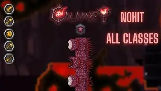 Terraria Calamity: Wall of Flesh Master Death Mode No Hit All Classes
