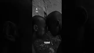 8-я серия «1286» в сети🔥 