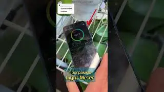 Зачем орхидее свет? 