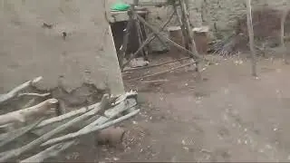 foxsha.zapal.boldi