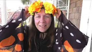Monarch Butterfly Costume