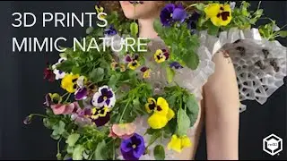 Nature in 3D Design