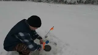 И снова зимняя рыбалка на Боровом. Щучки на жерлицы. 