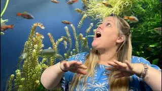 Intro to Green Screen (Apple) - Napier Libraries Tutorial