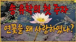 성리학의 탄생, 송 유학의 첫 주자 주돈이 그는 왜 연꽃을 사랑하였나?