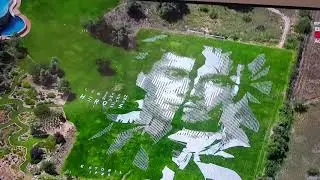 Pintura de Ayrton Senna e Lewis Hamilton em um campo de um fã de Portugal - Fórmula 1 F1