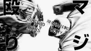 REINCARTING ENTITY VS RIPCORD USERS (DISCORD PACKING)