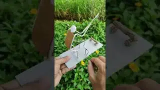 Cranky Wood Cutter | Dynamic Toy 