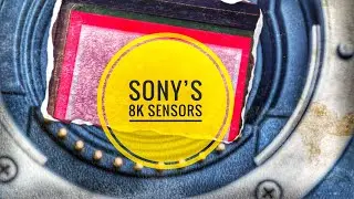 Morning Jolt #49 - Sony's New 8K Sensors? But WHY?
