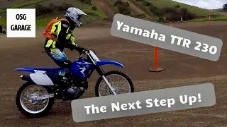 TTR230  The Next Step Up