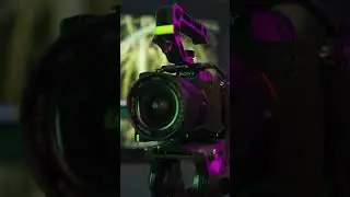Craft magic with a SmallRig cage and attach all your essential gear. 
