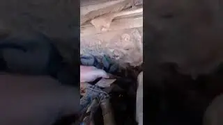трасса печек