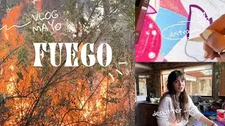 🔥 INCENDIO en el terreno!! 🔥 vida de mamá ilustradora