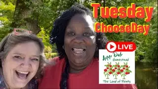 Tuesday ChooseDay  @BestyetJourney a little giveaway 😉 