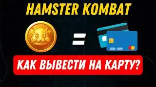 КАК ВЫВЕСТИ ДЕНЬГИ ИЗ HAMSTER KOMBAT | ЕЖЕДНЕВНОЕ КОМБО 16 ИЮНЯ