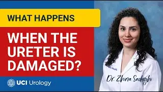 What Happens When the Ureter is Damaged? by Dr. Zhina Sadeghi - UC Irvine Department of Urology
