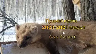 Пушной сезон 2023-2024 закрыт