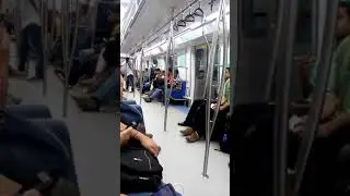 Magenta line