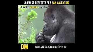 La frase perfetta per San Valentino