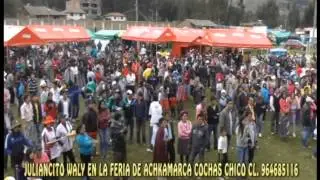 Los Walys Del Peru CUMBIA Camaron Achkamarca Cochas