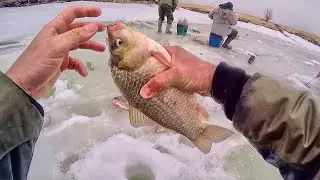 THE CRUCIAN CARP HAS GONE CRAZY!!! THIS IS SOMETHING FISHING!! CRUCIAN CARP FROM THE ICE ON A JIG!