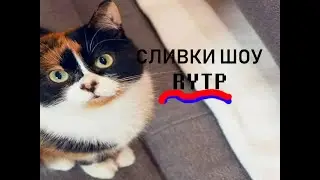 Стёпа Илон Маск [RYTP SlivkiShow]