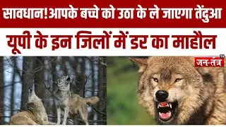 सावधान.. आपके बच्चे को उठा के ले जाएगा तेंदुआ |Maharajganj |WOLF 