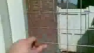 Dog Run & Kennel- Finally finished