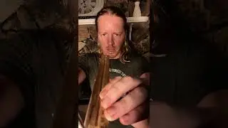 ASMR NPC Cranial Nerve Exam Part 1 